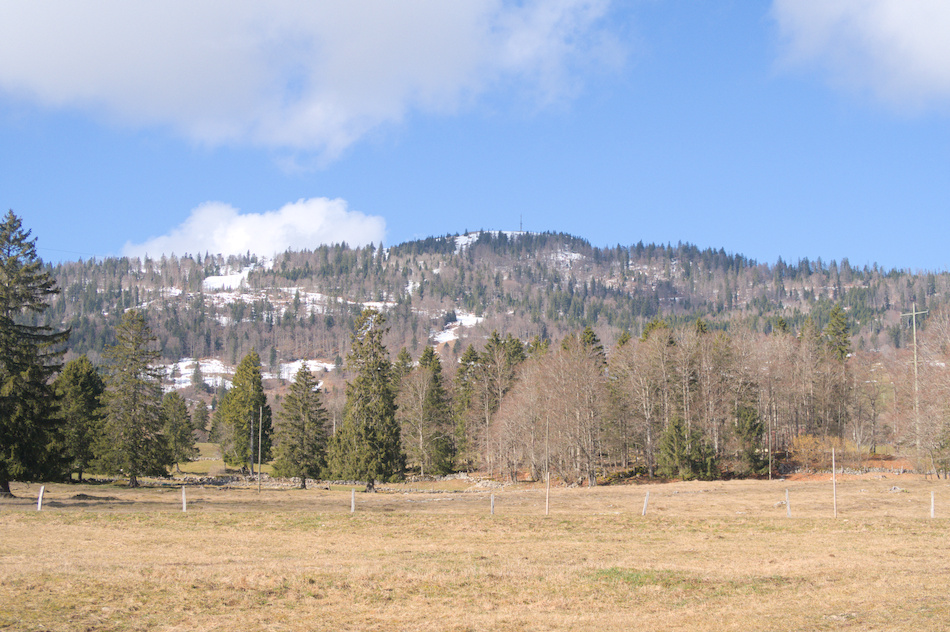 'La dent est encore enneig�e'