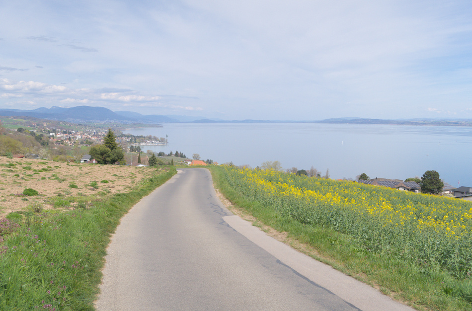 'La mont�e qui casse bien les pattes'