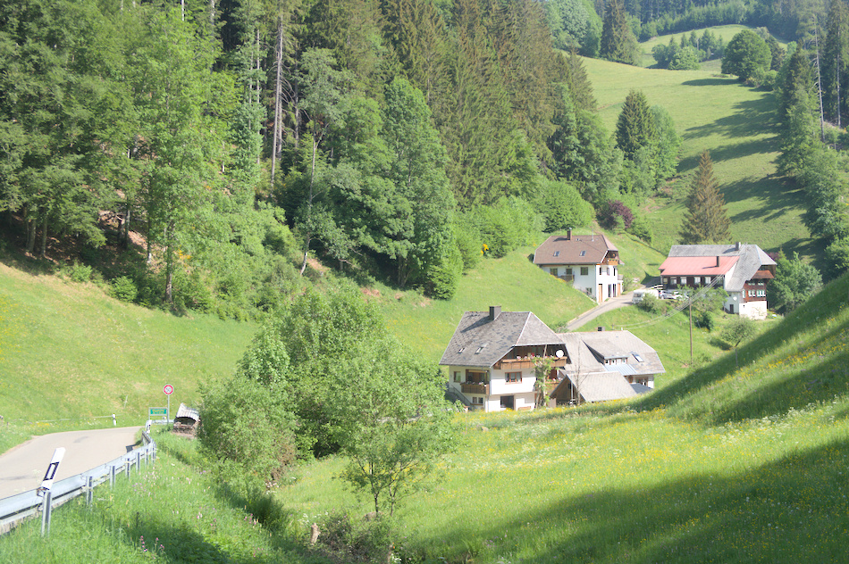 'Dans le petit vallon'