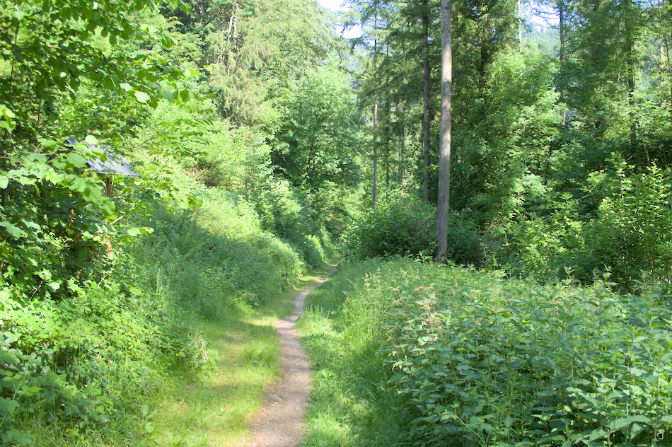 ''