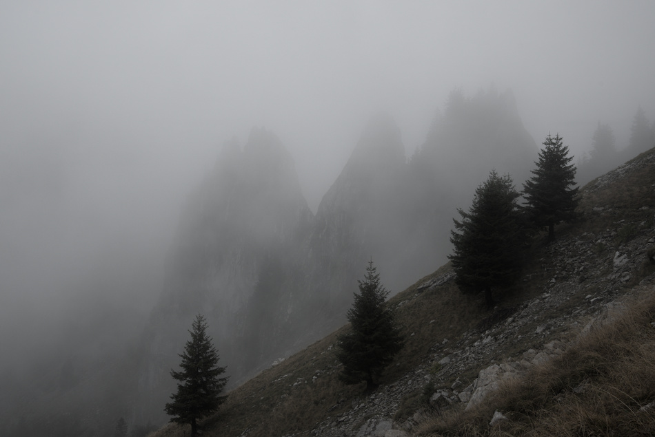 'Les Gais Alpins...dans une ambiance moins gaie'